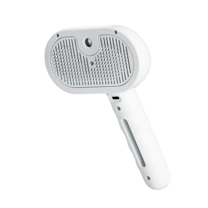 🔥Buy 2 Get 60% Off🔥Pet Spray Hair Removal Comb