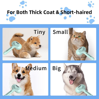 🔥Buy 2 Get 60% Off🔥Pet Spray Hair Removal Comb