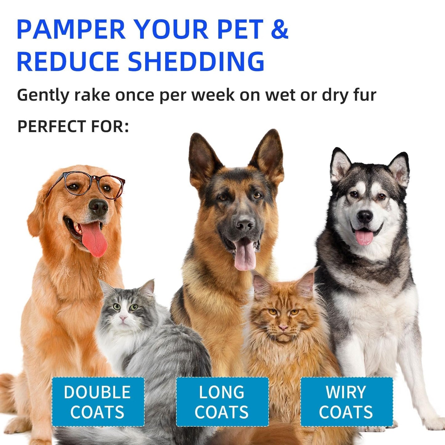🔥Buy 2 Get 60% Off🔥Pet Spray Hair Removal Comb