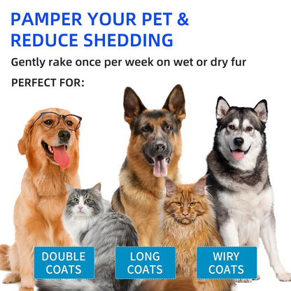 🔥Buy 2 Get 60% Off🔥Pet Spray Hair Removal Comb