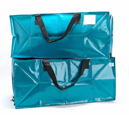Set of 2 Large Collapsible Moving Storage Bags