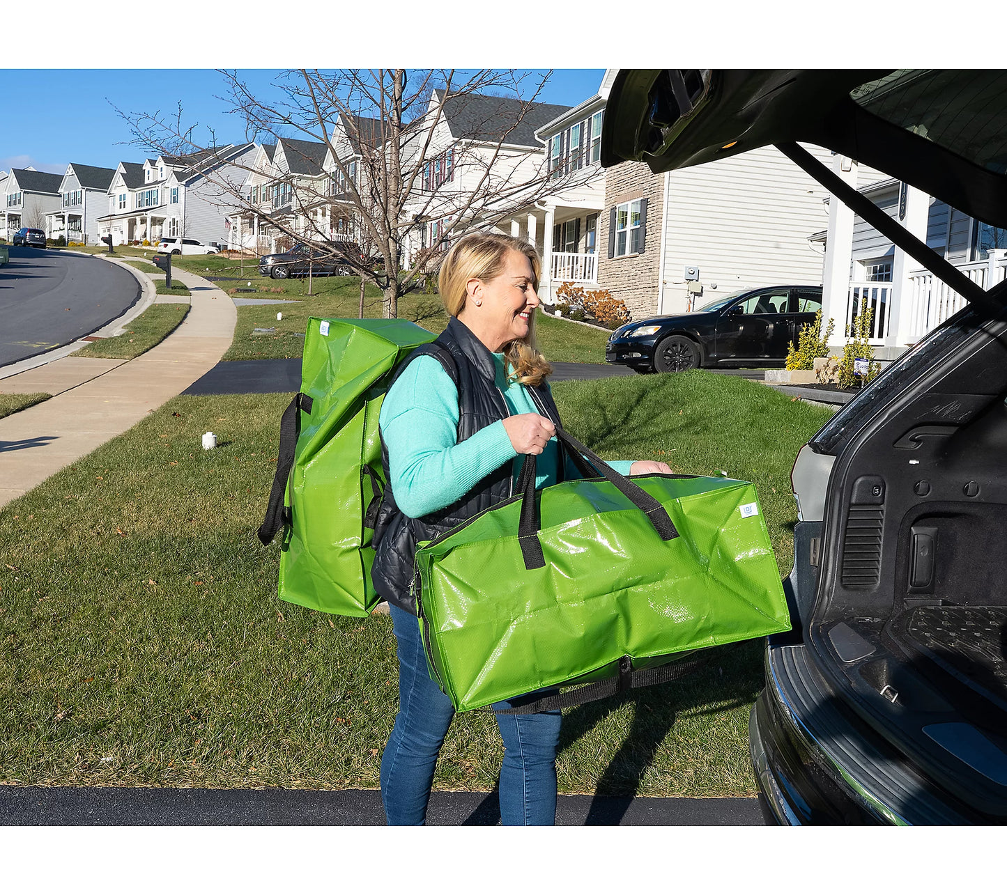 Set of 2 Large Collapsible Moving Storage Bags